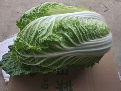 玲珑黄