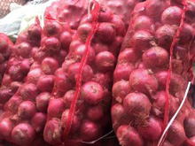 red onion.jpg